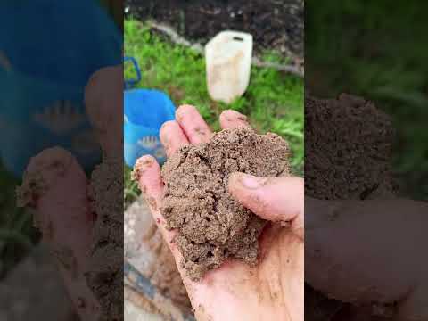 Видео: абиссинская скважина в Гатчинском районе