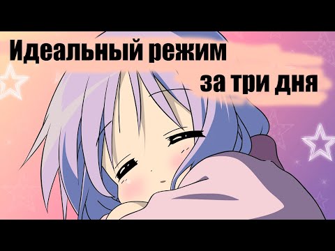Видео: Выходим на режим сна и бодрствования за 3 дня