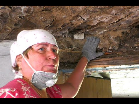 Видео: Меня предупреждали, что такое может быть в доме в деревне