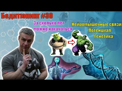 Видео: За сколько лет можно накачаться. Нейромышечные связи. Генетика. Потенциал  и ресурс. Бодитюнинг 30
