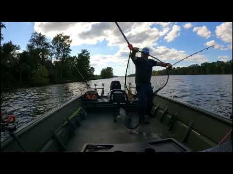 Видео: Рыбалка на сома в малых реках