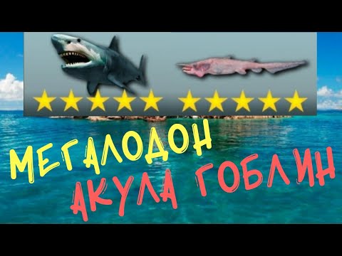 Видео: My Fishing World 2020 Ловля Мутанта Мегалодон и Акула Гоблин