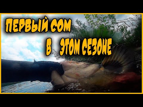 Видео: ПЕРВЫЙ СОМ СЕЗОНА 2021| ПОДВОДНАЯ ОХОТА 2021