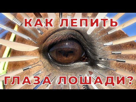 Видео: Как лепить глаза лошади. Первый этап.