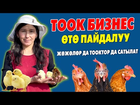 Видео: Гүлжан эже ТООК багуунун СЫРЫН ачты ~ Эти даамдуу ТООКТОРУ да сатылат