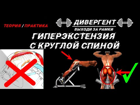 Видео: ГИПЕРЭКСТЕНЗИЯ С КРУГЛОЙ СПИНОЙ !???? КАК НАКАЧАТЬ ЯГОДИЦЫ?!