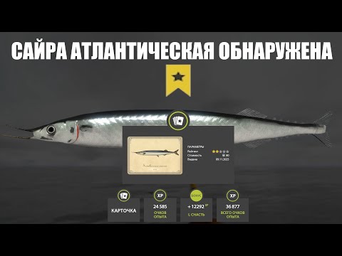 Видео: САЙРА ОБНАРУЖЕНА. ФАРМ САЙРЫ на Норвежском море в РР4