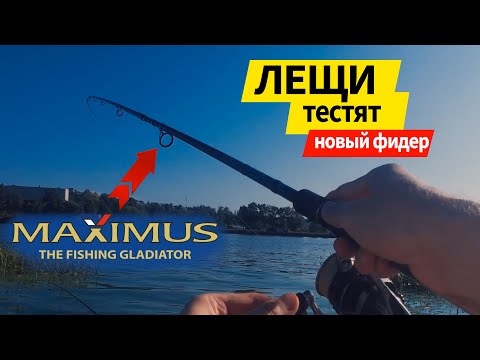 Видео: ЛЕЩИ тестируют новые фидера MAXIMUS Bream Measter