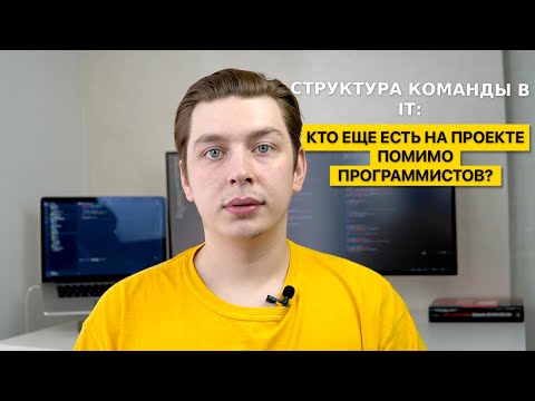 Видео: Как работают программисты: Структура IT команды