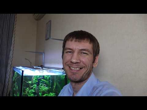 Видео: Занес кладофору в травник. Что случилось через сутки!