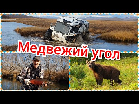 Видео: Медвежий угол. Река Островная.