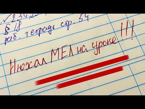 Видео: Самые смешные записи в дневниках (3 серия)