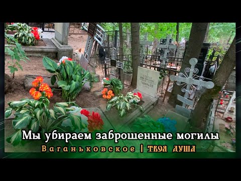 Видео: Мы убираем заброшенные могилы | Ваганьковское ✞ Уборщик заброшенных могил ✞