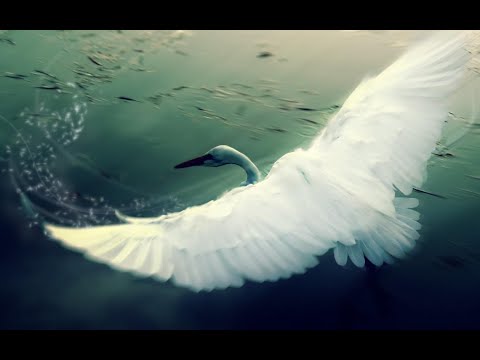 Видео: Свиридов "ОТЧАЛИВШАЯ РУСЬ" - Владимир Байков, Игорь Каждан, Смоленский оркестр народных инструментов