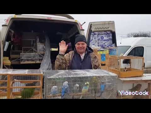 Видео: Ярмарка Кропоткин 2 серия, 29.12.2024 г.