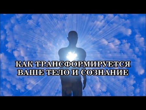 Видео: ПРИЗНАКИ И СИМПТОМЫ ТРАНСФОРМАЦИИ ВАШЕГО ТЕЛА. КАК ТРАНСФОРМИРУЕТСЯ ВАШЕ ТЕЛО И СОЗНАНИЕ.