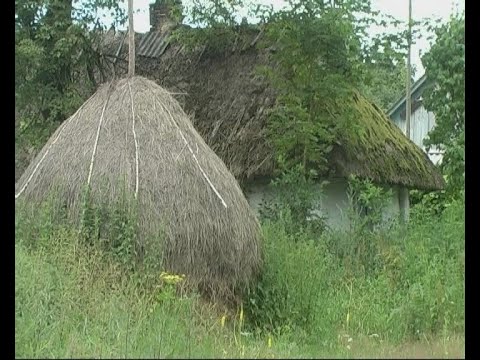 Видео: НЕВІДОМА ВОЛИНЬ. Етнографічна експедиція у Стобихву - млинці замість хліба, обряди й традиція пиття