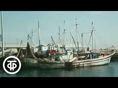 Видео: Разбитое сердце Афродиты. Об истории Республики Кипр (1986)