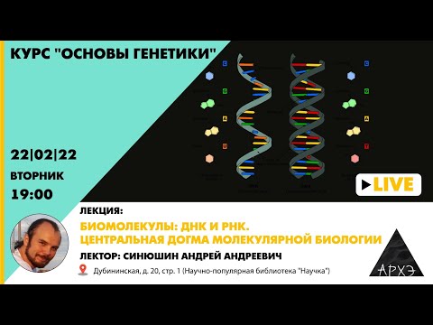 Видео: Лекция Андрея Синюшина "Биомолекулы: ДНК и РНК. Центральная догма молекулярной биологии"