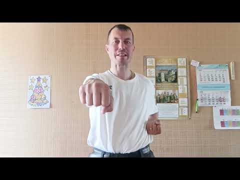 Видео: Кихон. Прямой удар Сейкен цуки в Годзю Рю Каратэ для начинающих.