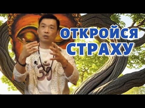 Видео: Страх - не может причинить вреда существованию. Пропускай страх как энегрию, будучи сновидцем.