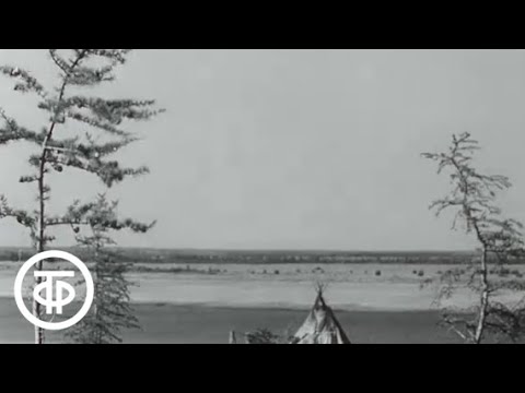 Видео: Мы - нганасаны (1967)