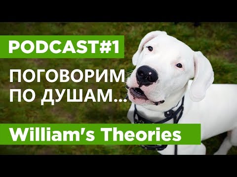 Видео: ПОГОВОРИМ ПО ДУШАМ... | ПОДКАСТ#1