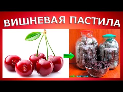 Видео: Вишнёвая пастила в Ezidri