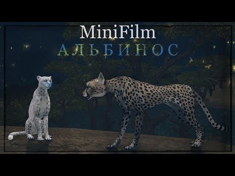 Видео: WildCraft: ShortFilm «Albino cheetah» [часть 2] old project