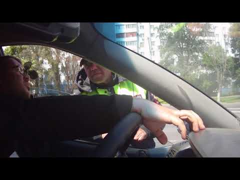 Видео: Проверка документов - документофилия!