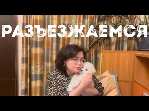 Видео: Как подготовиться к приезду щенка домой. Что нужно приготовить, что купить щенку бишон фризе.