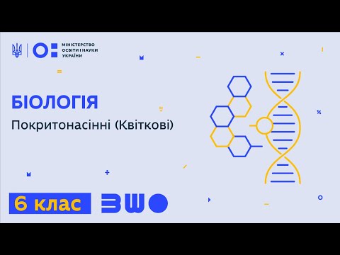Видео: 6 клас. Біологія. Покритонасінні (Квіткові)