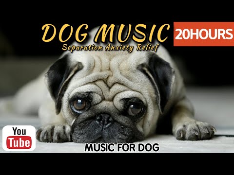 Видео: 20 часов любимой музыки собак🐶💖Музыка для сна собак 🐶🎵 Музыка для снятия беспокойства при разлуке🎵