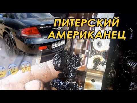 Видео: Американец из Санкт Петербурга