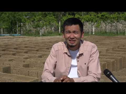 Видео: ЖАРАТМАН СЫНЧ БЛОК 3
