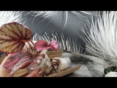 Видео: Ураа посылочка пришла 😉🫶🫶🫶🌷🌷🌷