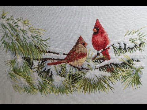 Видео: DIMENSIONS  WINTER CARDINALS  ГОТОВАЯ РАБОТА !