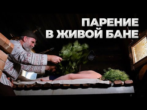 Видео: Как парит Бояринцев у себя в бане?