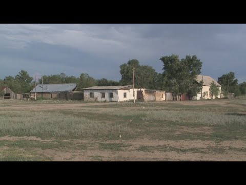 Видео: Пайщики села в ВКО стали заложниками бизнесмена