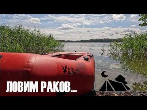 Видео: Кемпинг 🏕️ на берегу озера. Ловим раков 🦞 и не только 🍄🍳🦈. Отдых с палатками.