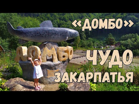 Видео: Где поесть вкусную форель и осетра на Закарпатье! Кафе "Домбо" фермерское хозяйство!