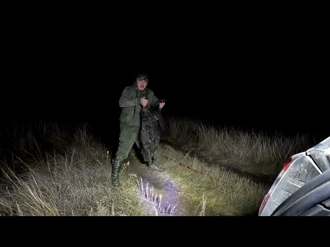 Видео: ДОБЫЛ ОГРОМНОГО ЗВЕРЯ.ОСЕНЯЯ ОХОТА НА БОБРА 2025.