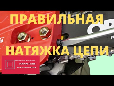 Видео: Правильная натяжка цепи на бензопиле, или электропиле.#ВикторПолев