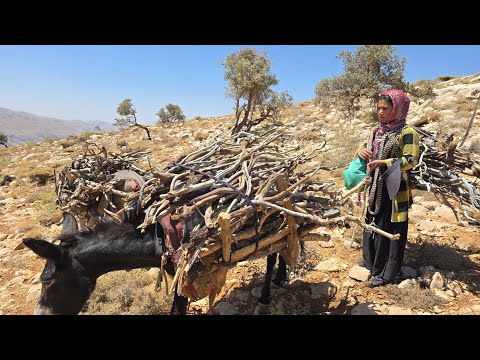 Видео: «Настоящая кочевая жизнь в горах: тяжёлая борьба за выживание и дрова»