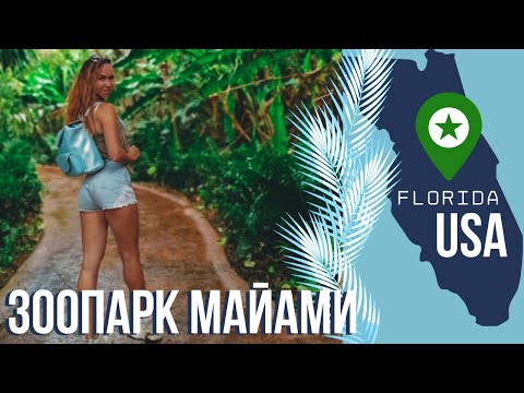 Видео: США 2020 МАЙАМИ. MIAMI ZOO - САМЫЙ БОЛЬШОЙ ТРОПИЧЕСКИЙ ЗООПАРК АМЕРИКИ vlog#6