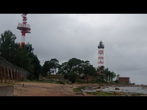 Видео: Бешеной собаке — семь вёрст не крюк. Путешествие на Шепелевский маяк