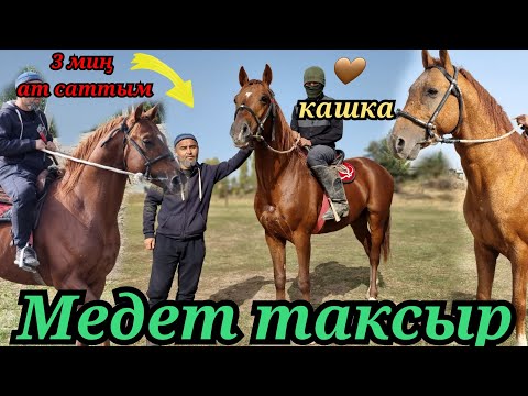 Видео: жалпы ҮЧ МИҢ ат САТТЫМ 😱МЕДЕТ ТАКСЫР ЭФИРДЕ МЫКТЫ АТТАР МЕНЕН 🐎7 октября 2022 г.