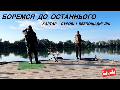 Видео: ФІНАЛ ЯКОГО МИ НЕ ОЧІКУВАЛИ😰 Турнір Family Carp Cup🏆