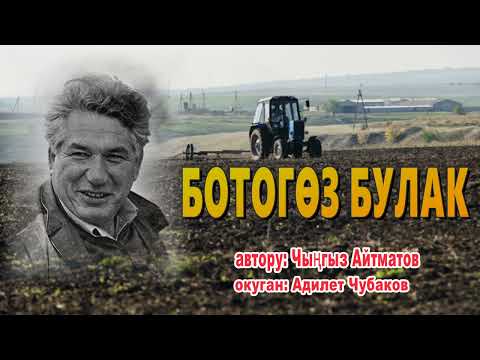 Видео: БОТОГӨЗ БУЛАК \ ПОВЕСТЬ \ ЧЫҢГЫЗ АЙТМАТОВ