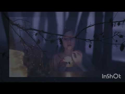 Видео: 1 октября 2025 г.